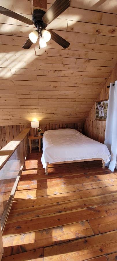 Ocean Views & Sunset Beach Cabin With Soaker Tub & Fire Pit Vila Powell River Exterior foto